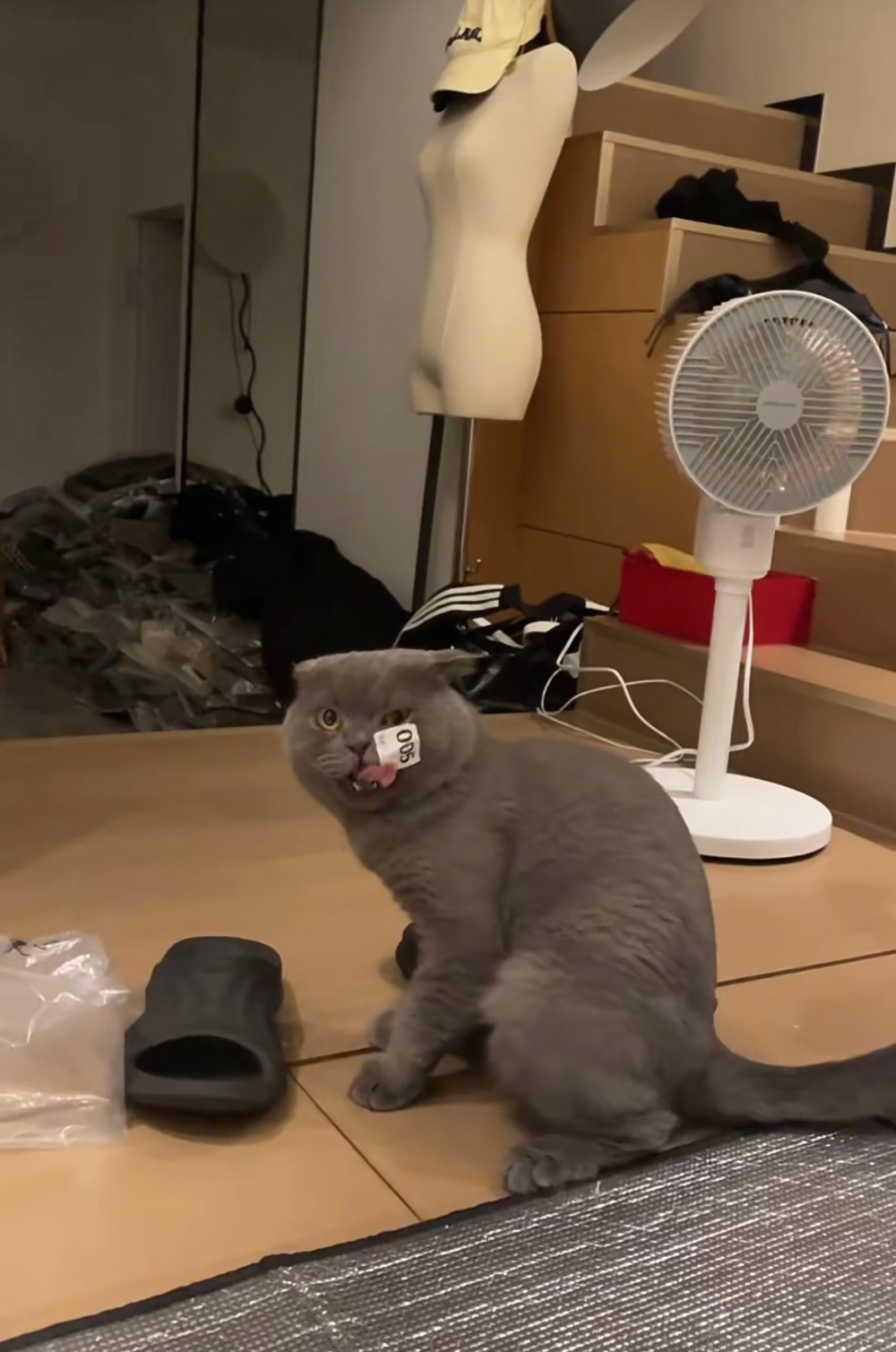 奴才：又跑到哪裡鬼混了？