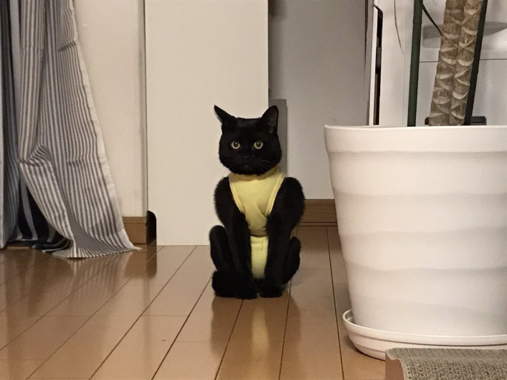 奴才:你現在要好好休息