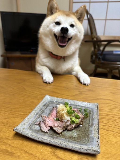 奴才：你這樣一直看著我會吃不下去啦～