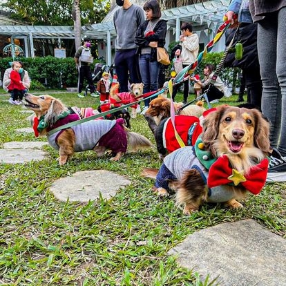我們的家休閒農場 Our Home