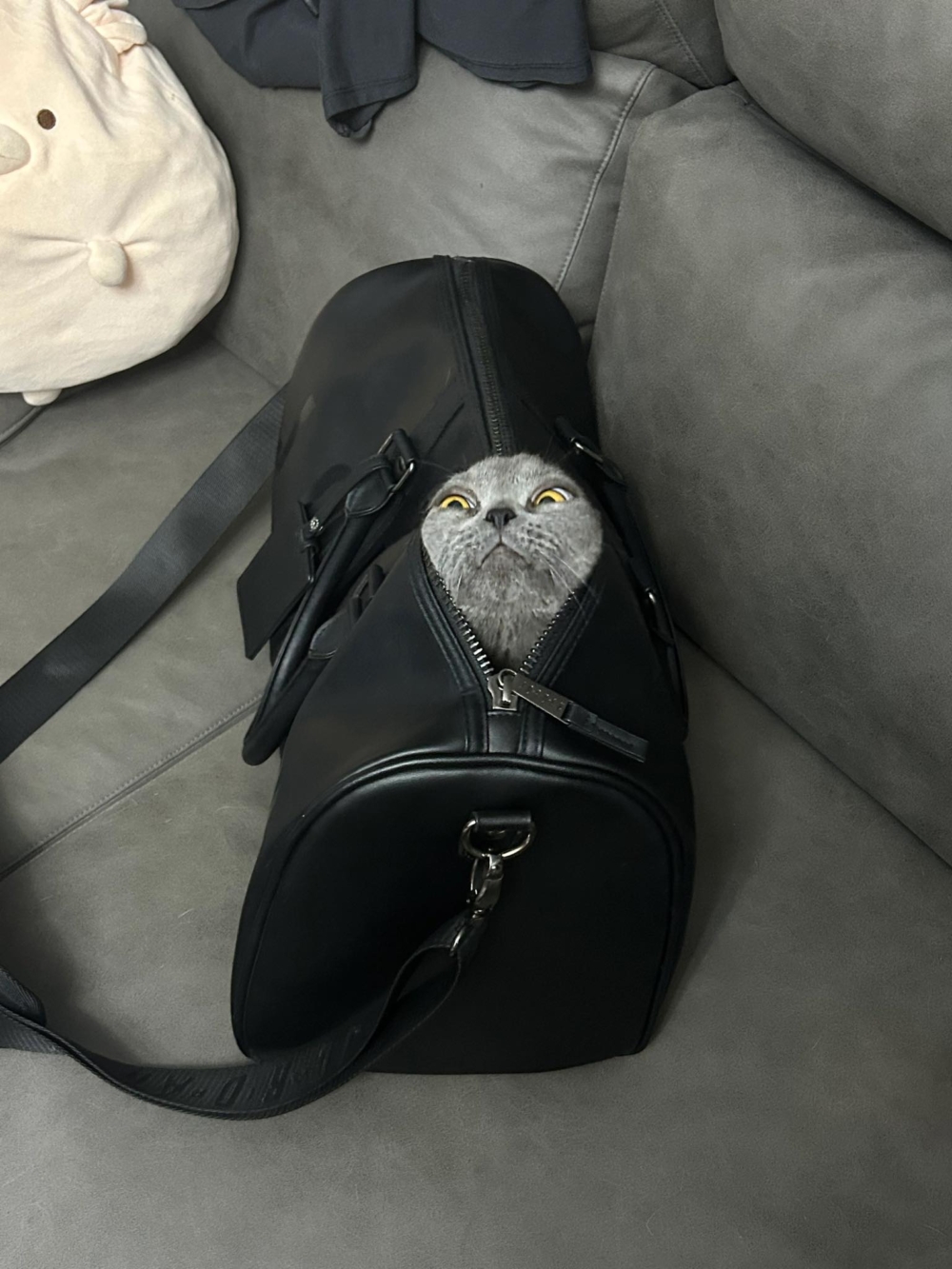 奴才：好啦！就你最會找藉口了