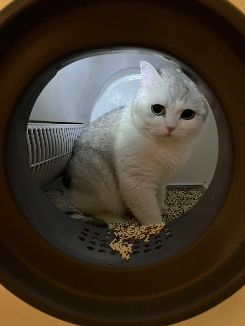 奴才：我保證不會把照片流出去的