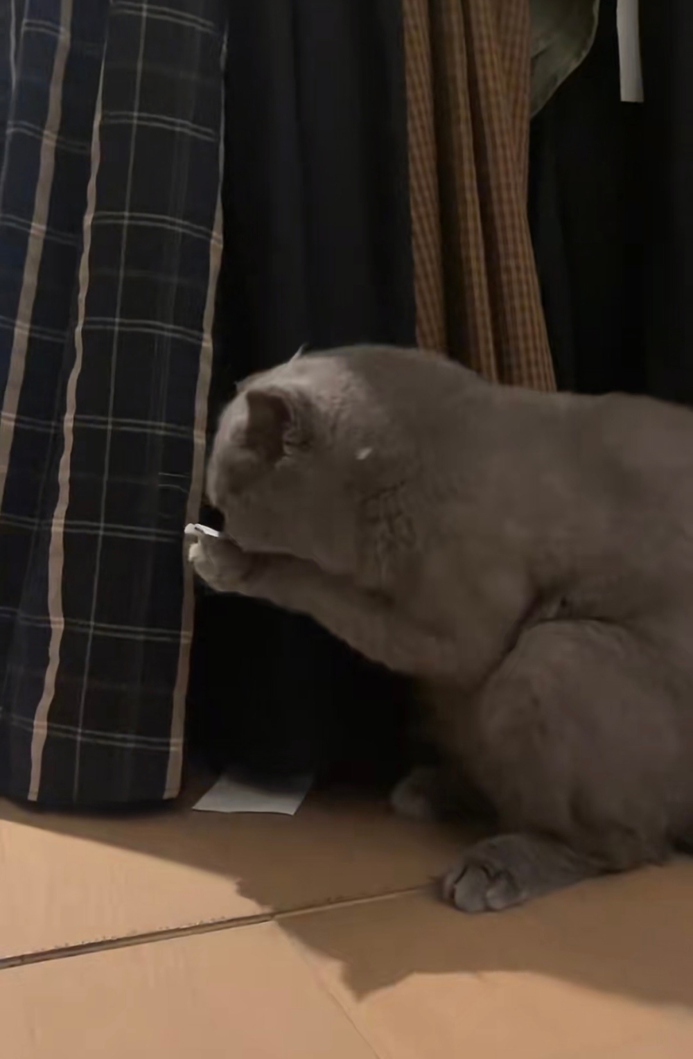 奴才：那你加油喔