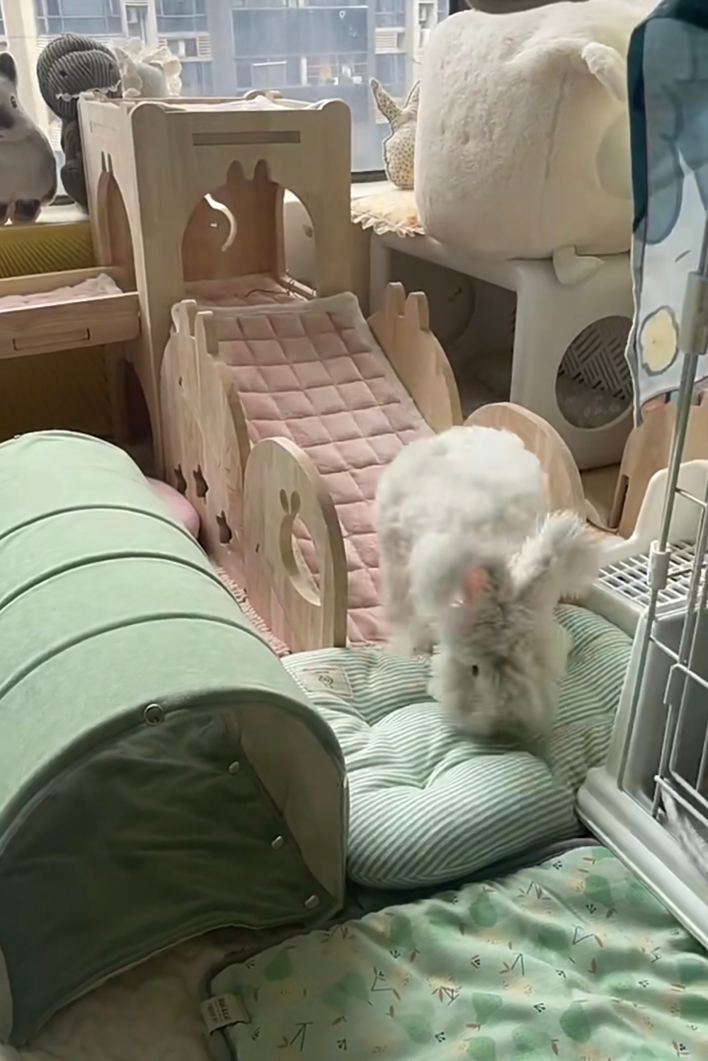 奴才：還是你最棒啦