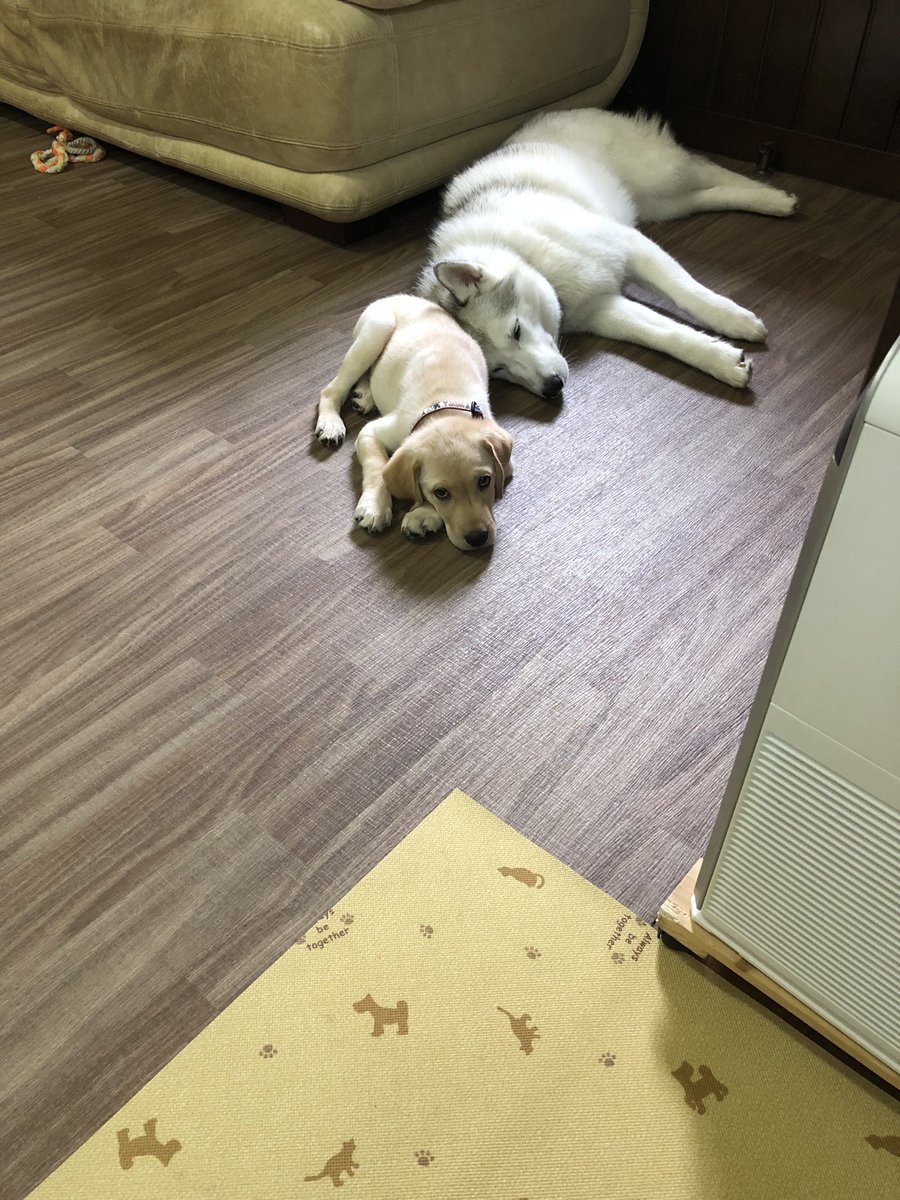 奴才：哎呦～還會反駁了呢