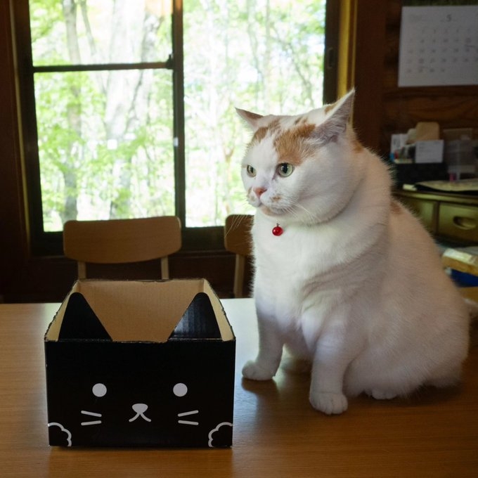 奴才:沒想到你這麼會說服自己啊