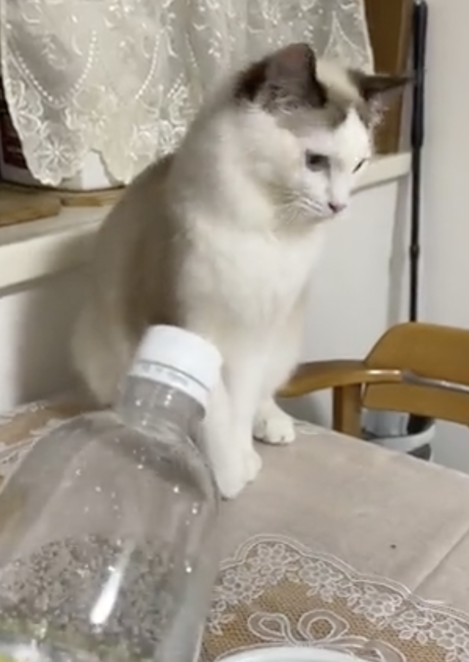 奴才：好吧～下次我不在你面前喝囉