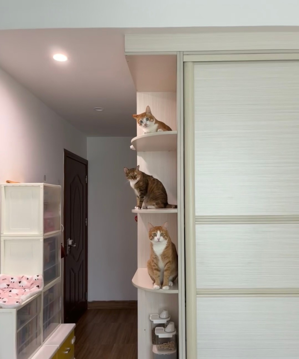 奴才：這可是你說的喔