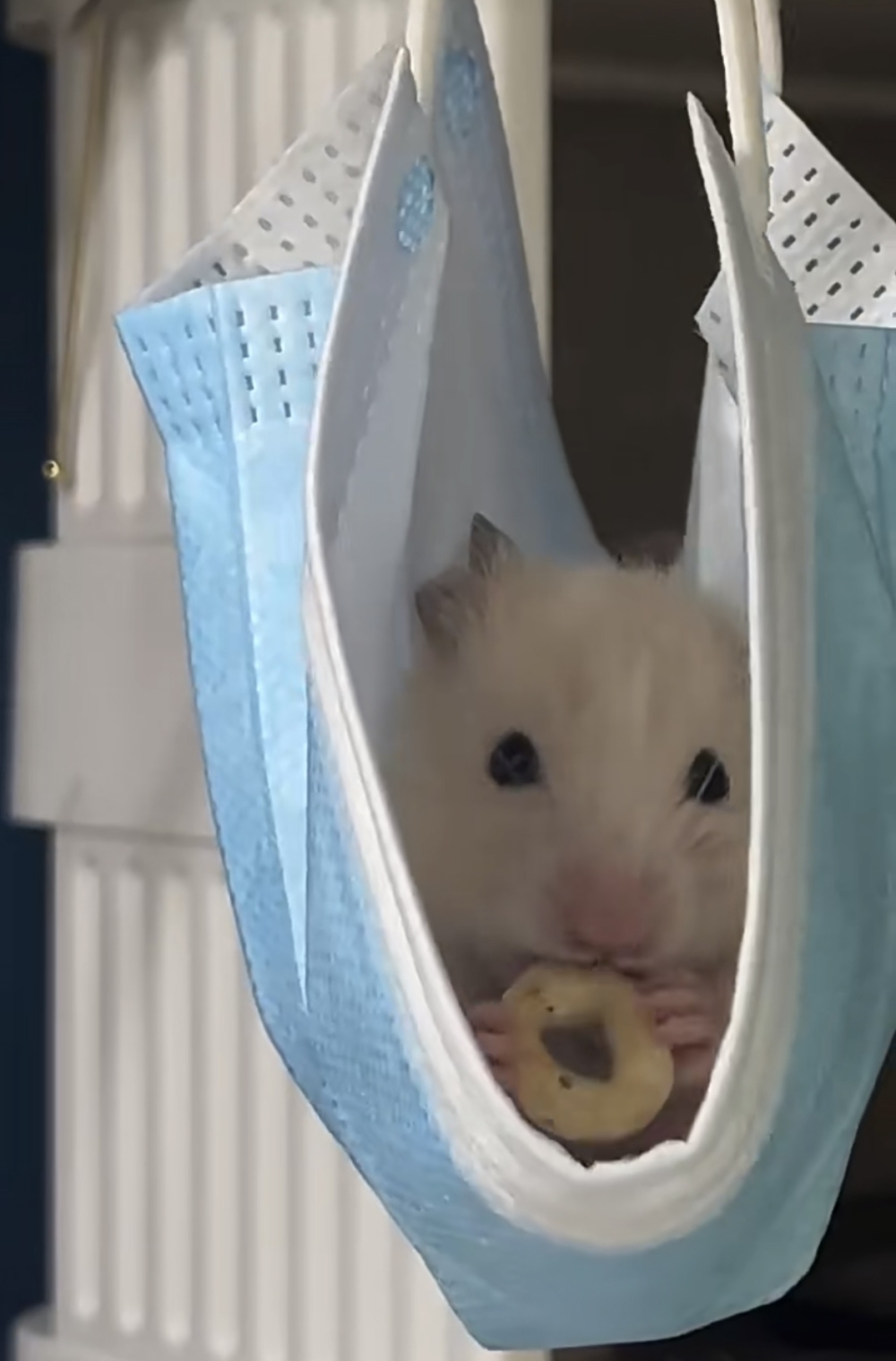 奴才：還好有你啊