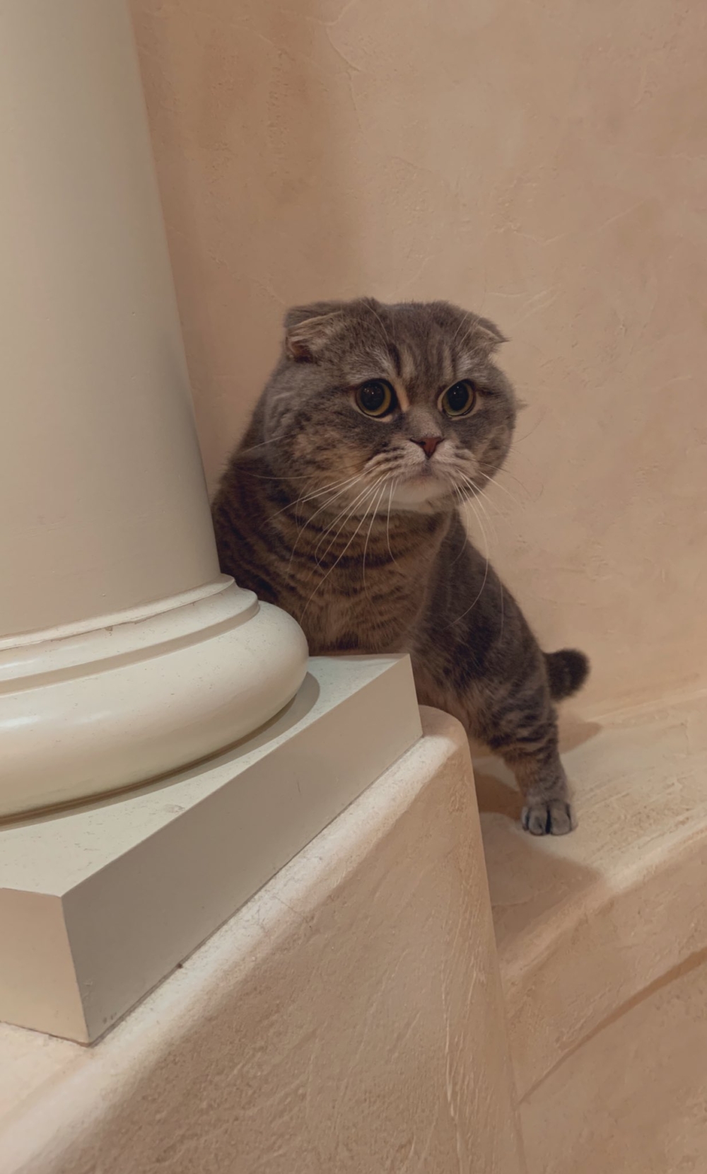 奴才：期待你的表現囉～