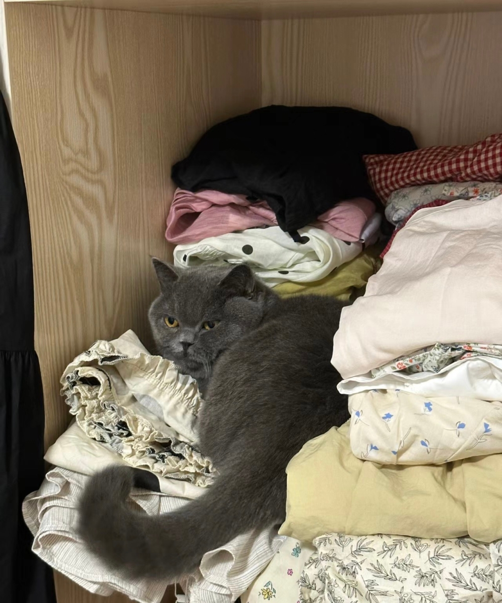 奴才：還是你會享受啊