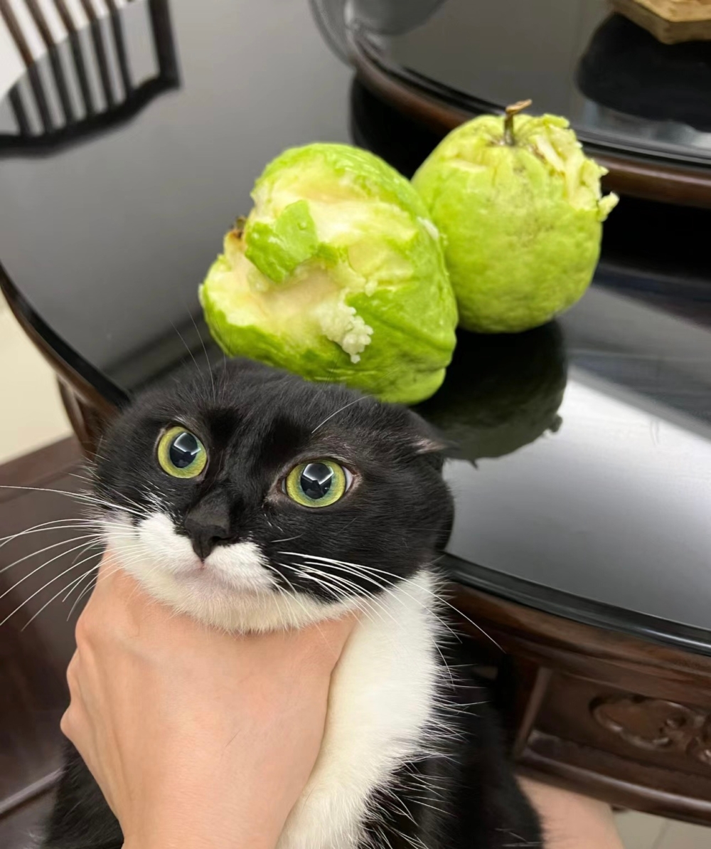 奴才：你別太過分喔