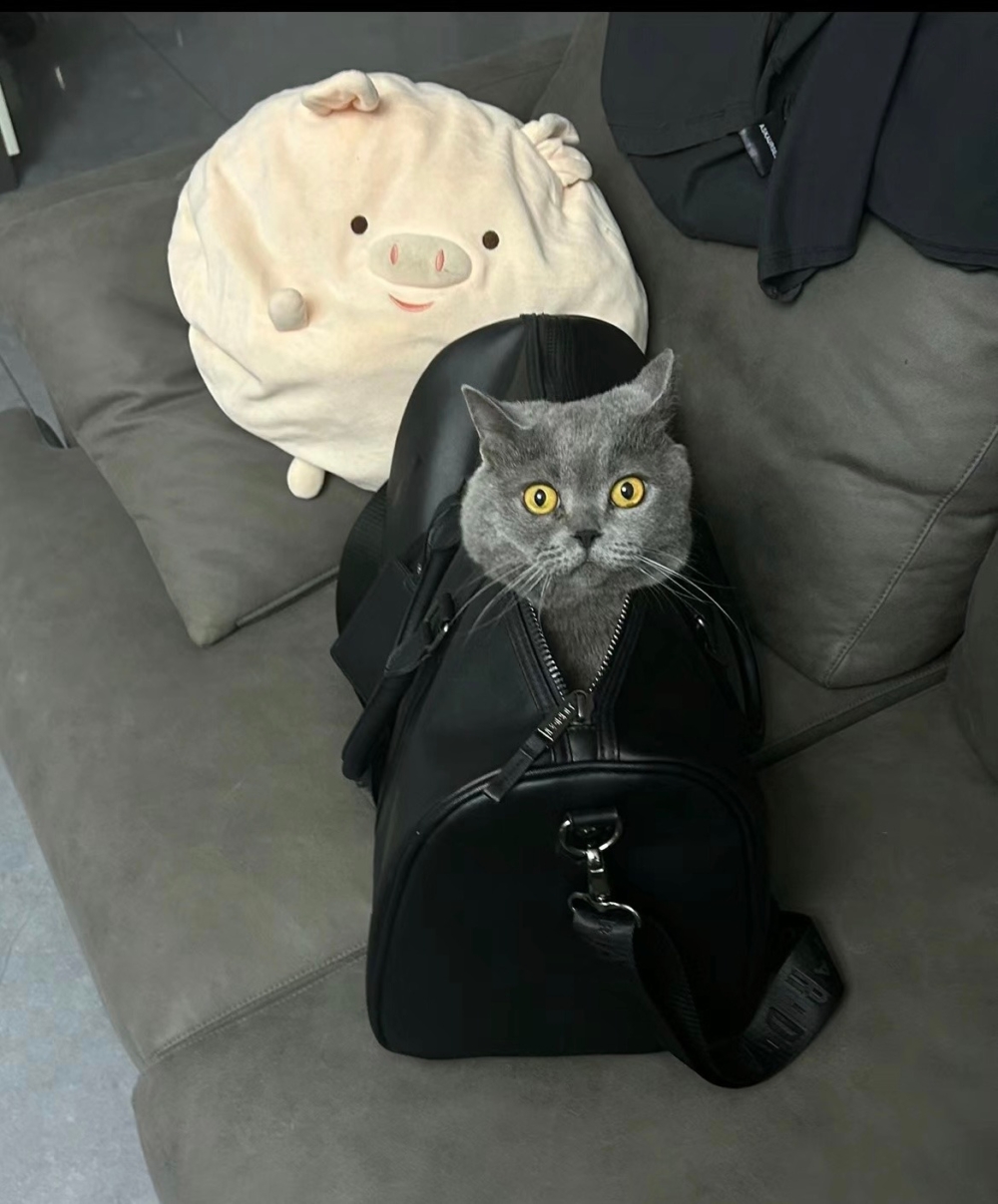 奴才：沒事，你開心最重要囉