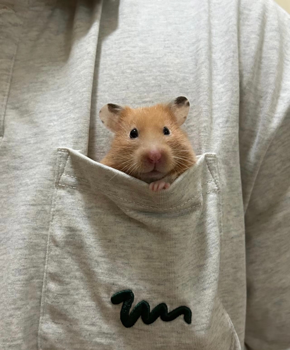 奴才：讓你看看你沒有見過的世界啦