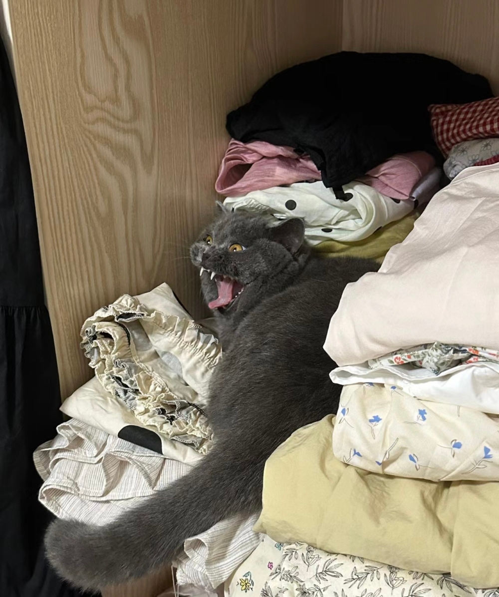 奴才：為我的衣服感到擔憂啊