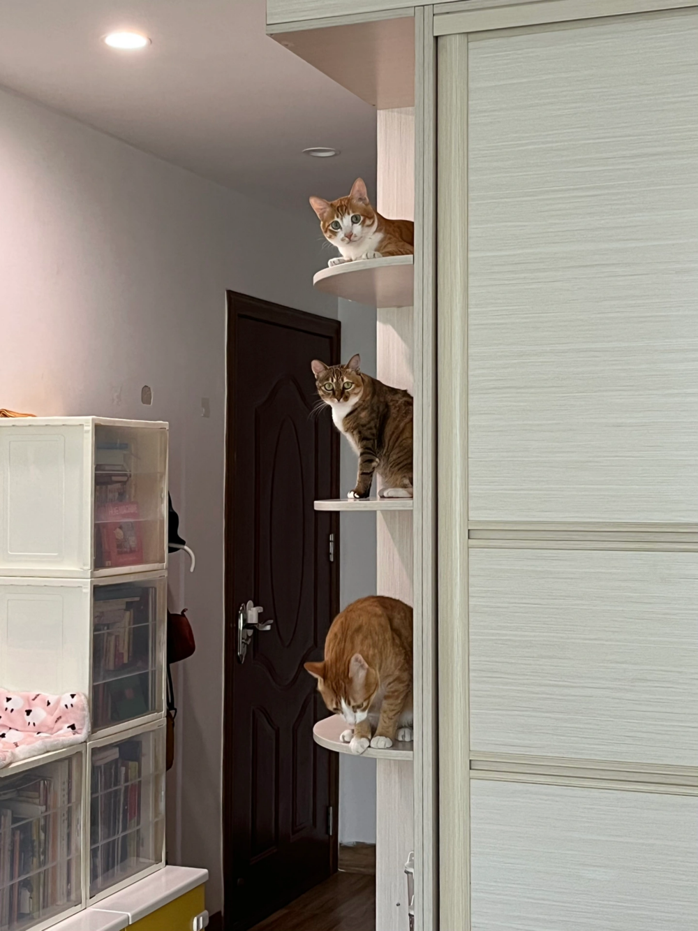 奴才：那就謝謝你們囉