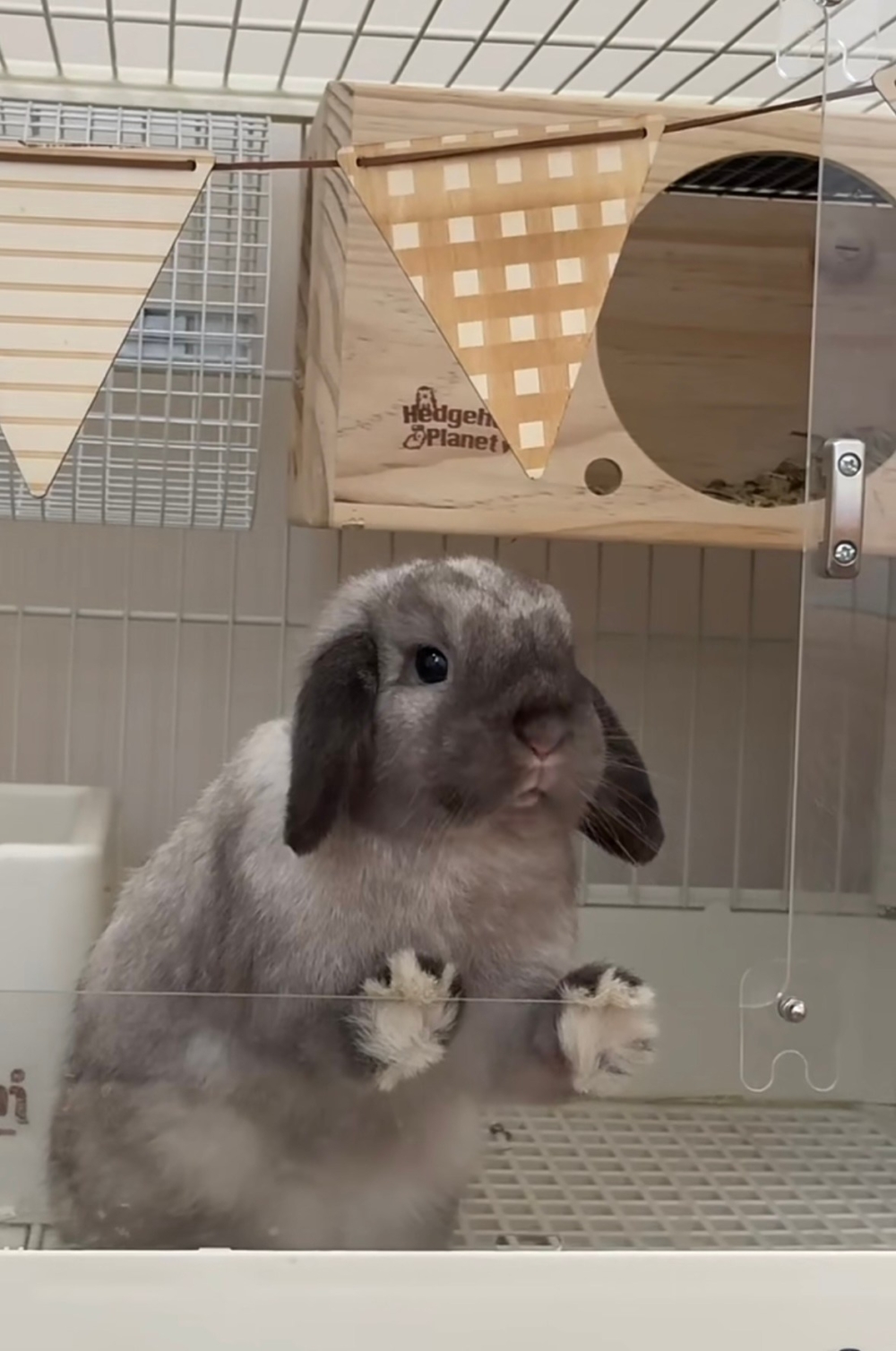 奴才：我們的新家喔