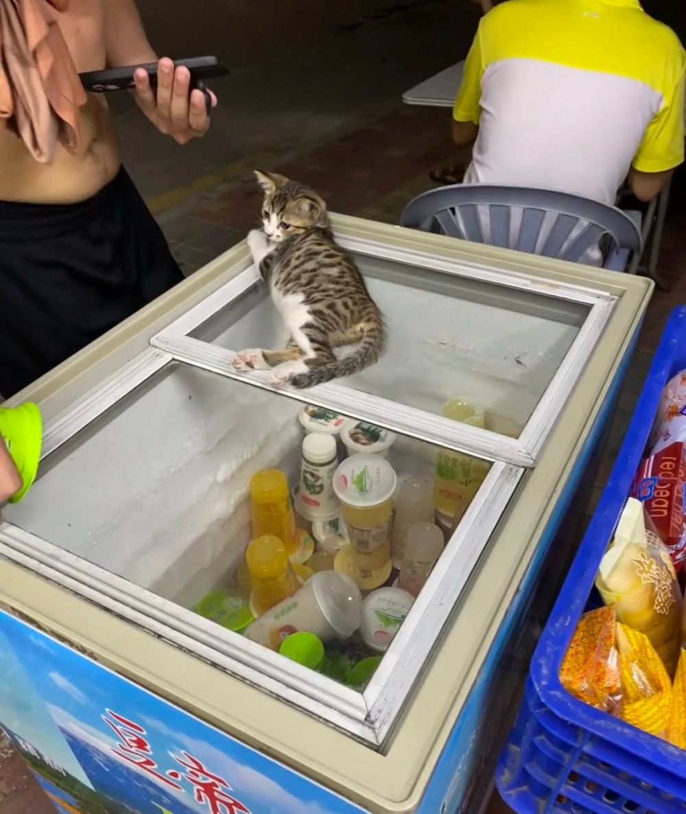 奴才：之後獎勵你罐罐囉