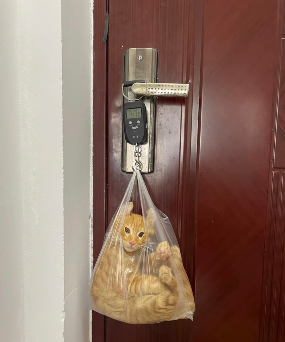 奴才：還沒稱好啦