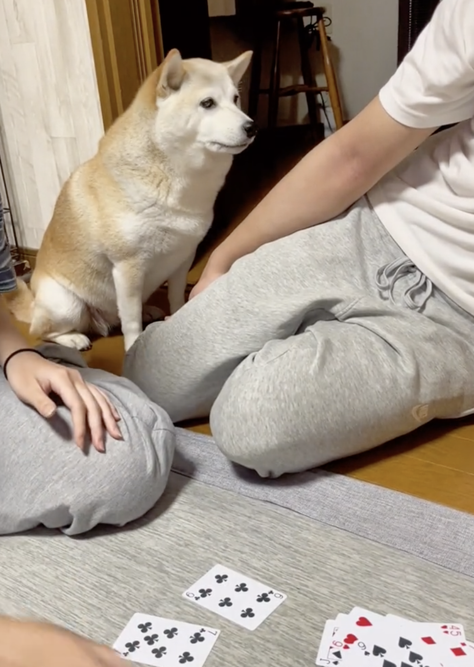 奴才：不是啦！我也沒騙你啊