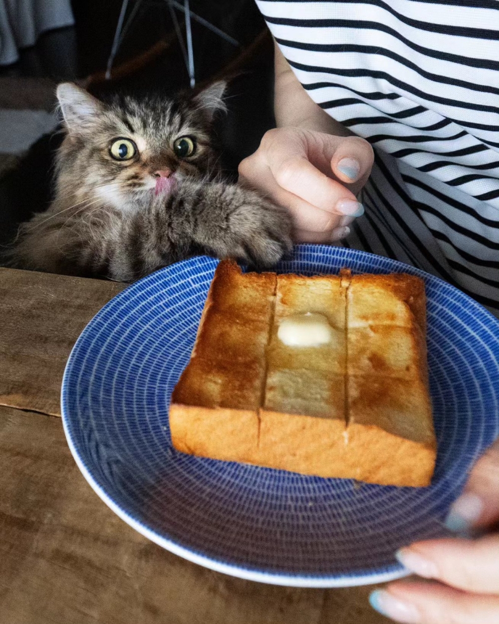 奴才：我沒有，你別誣賴我