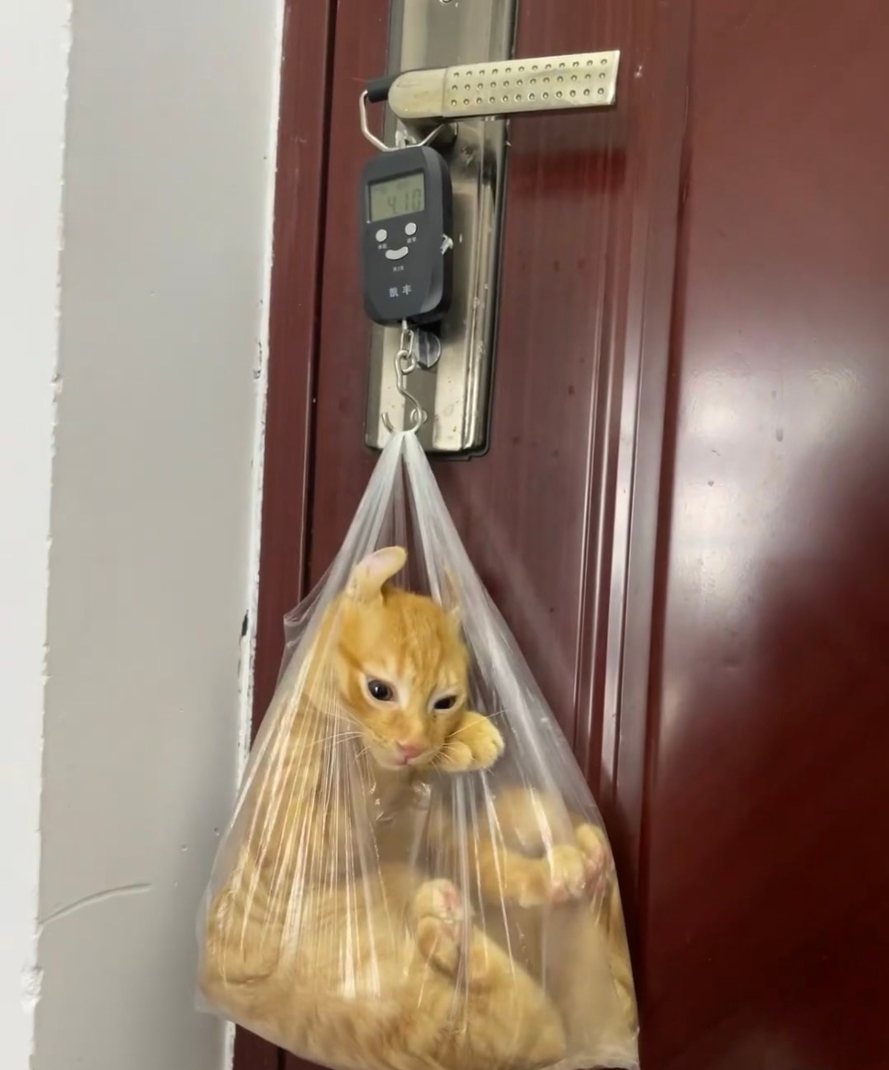 奴才：還好幫你剪了指甲啊