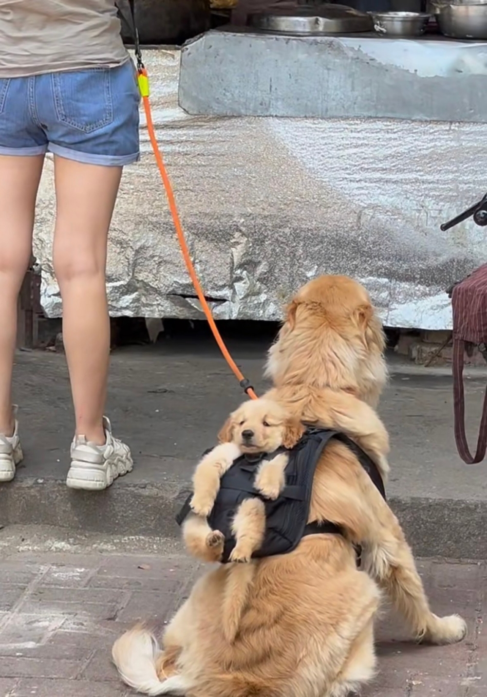 奴才：你別陰陽怪氣喔