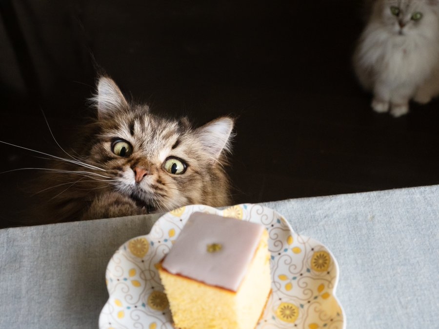 奴才：拭目以待囉