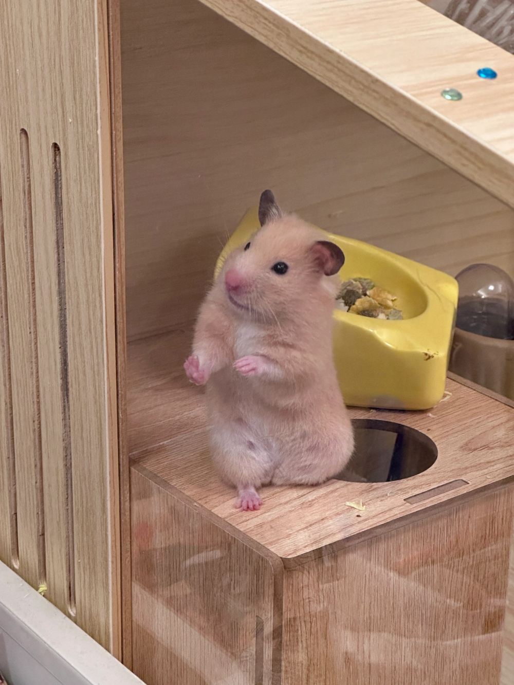 奴才：你是看見鏡頭就亢奮嗎？