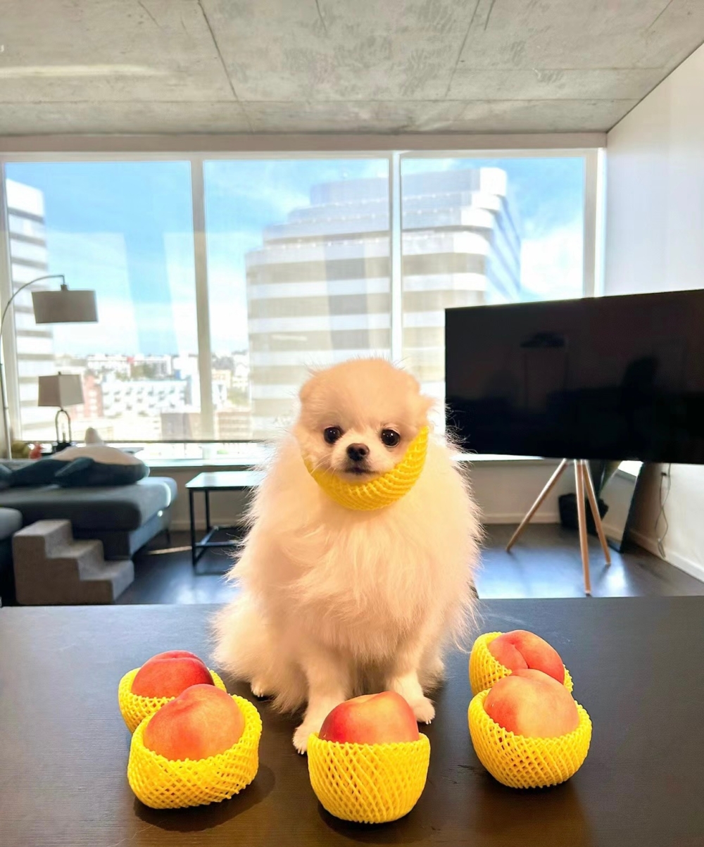 奴才：這樣才會進步啊