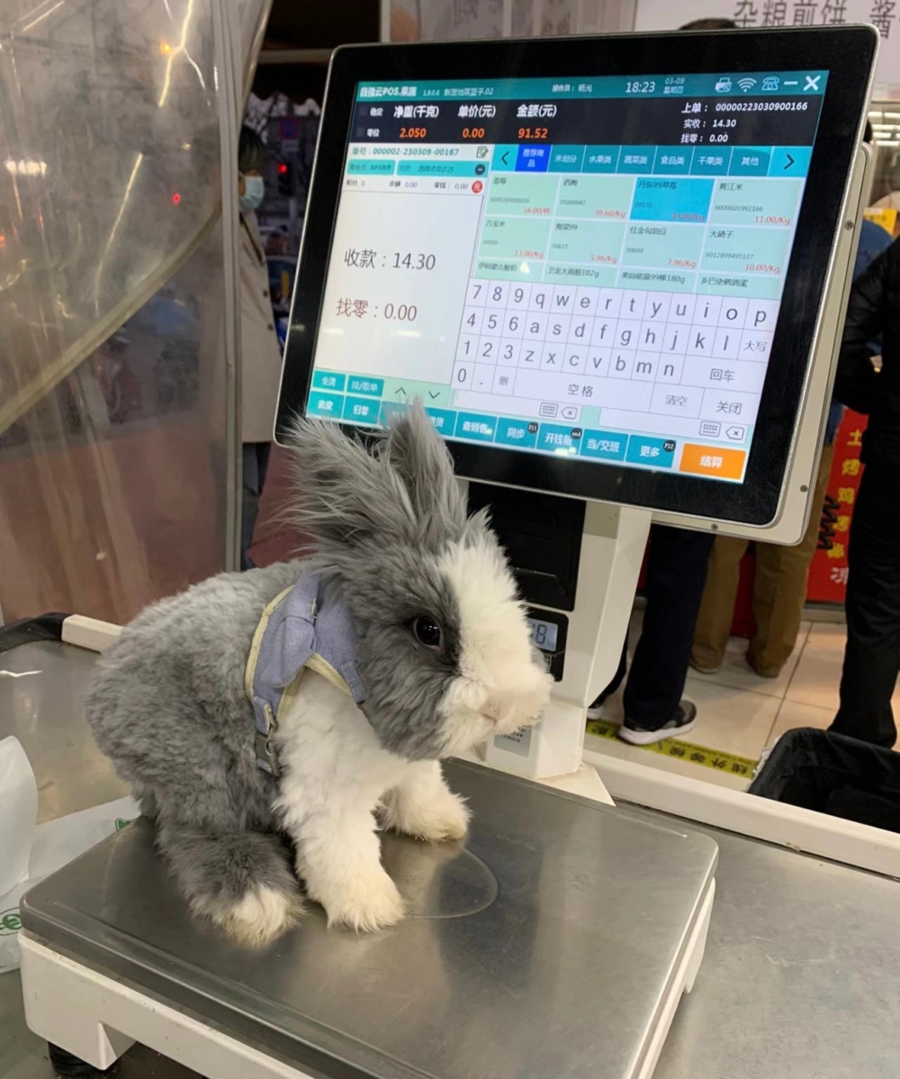 奴才：不敢不敢