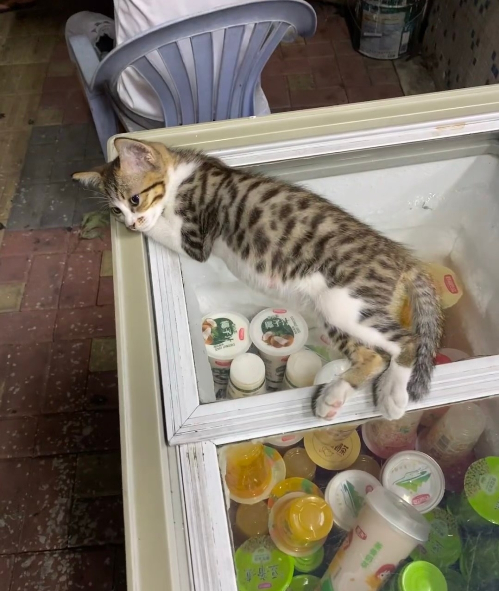 奴才：你坐這裡也挺不錯的