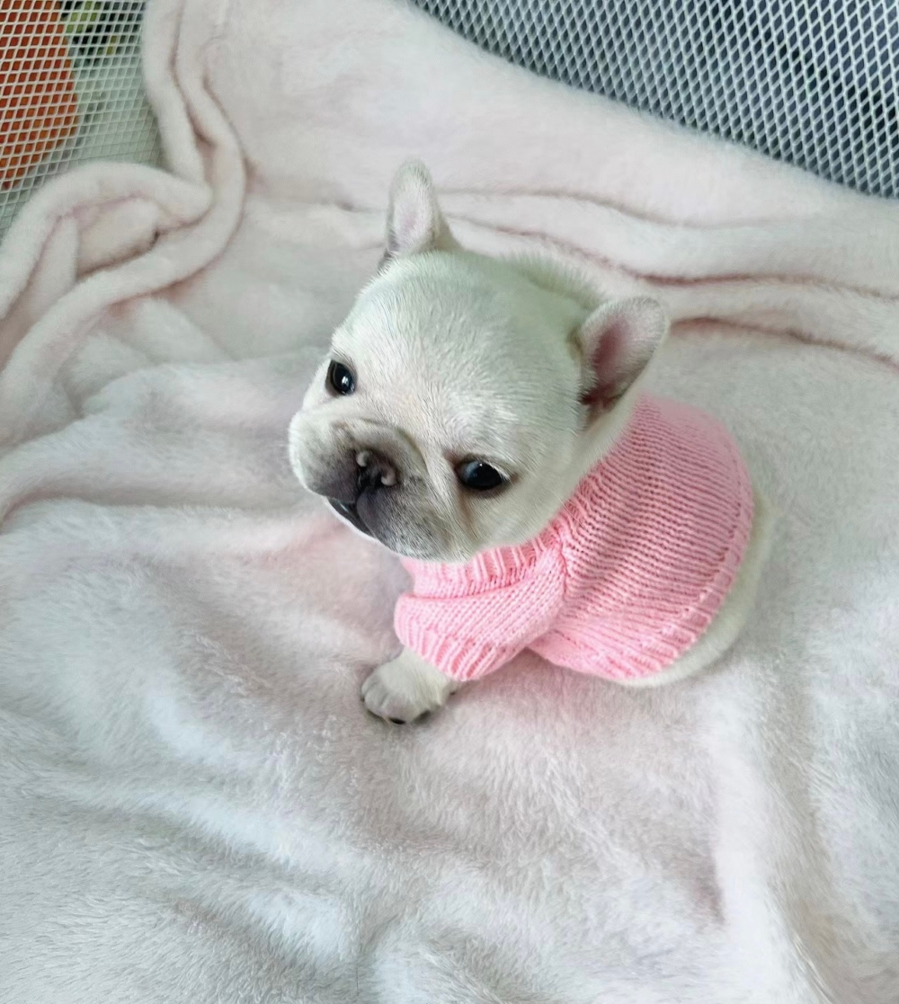 奴才：你值得啦