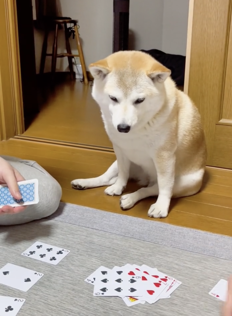 奴才：參與了也玩不了啊