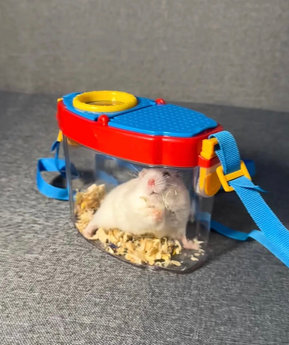 奴才：暫且相信你一次囉