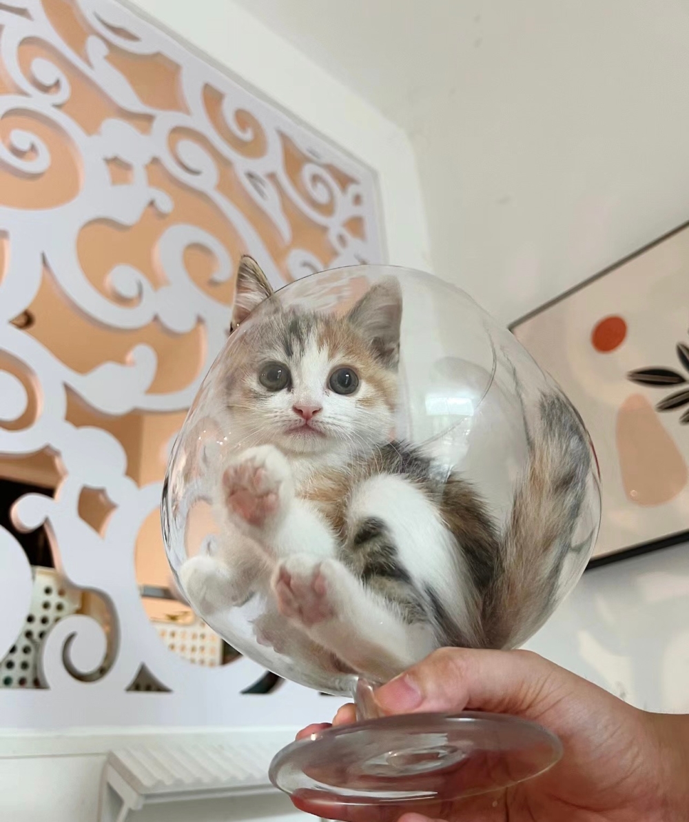 奴才：這杯子確實容易讓人誤會