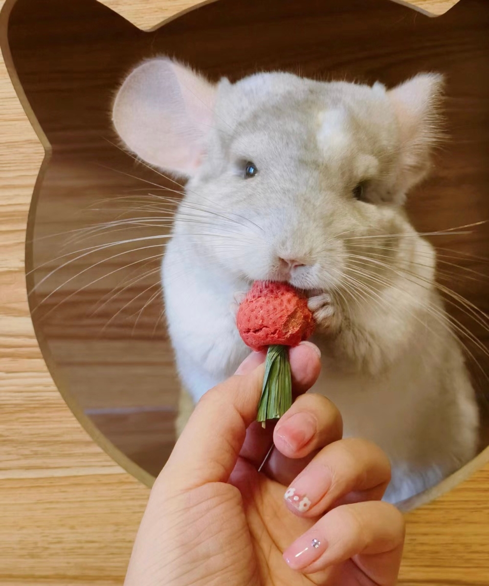 奴才：真的要被你氣死了！