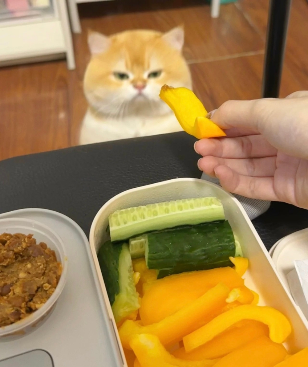 奴才：怎麼就不好吃了