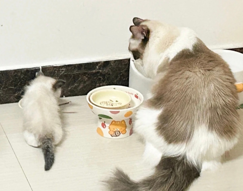 奴才：但是你也選個好一點的地方囉