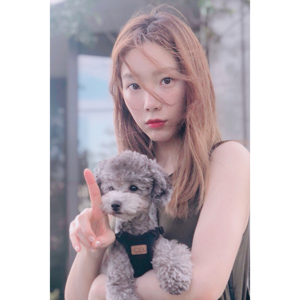 金太妍與「Zero」