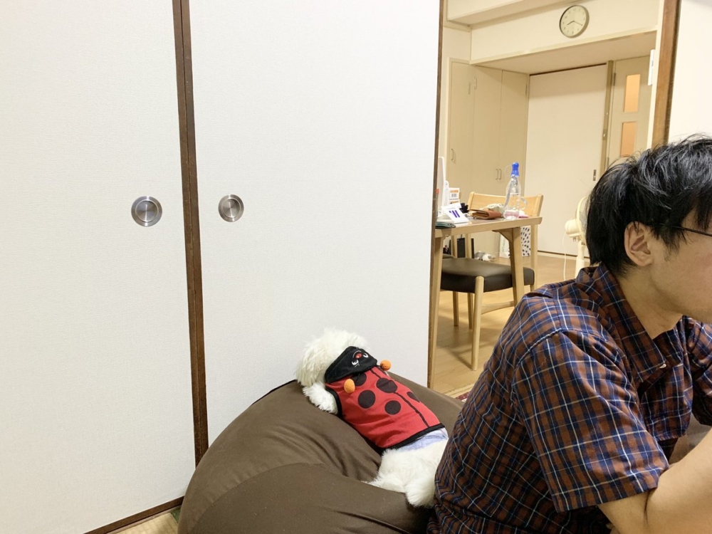 奴才：等下就到你的吃飯時間啦