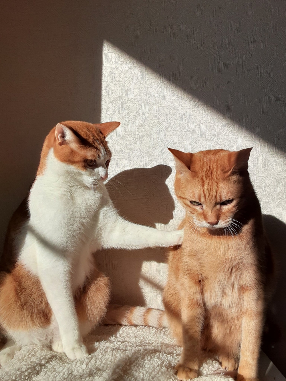 奴才：搞得跟真的一樣欸～