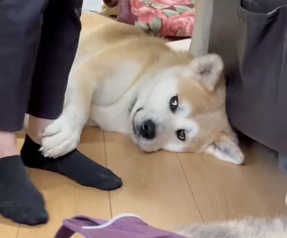 奴才：你說說，我聽聽