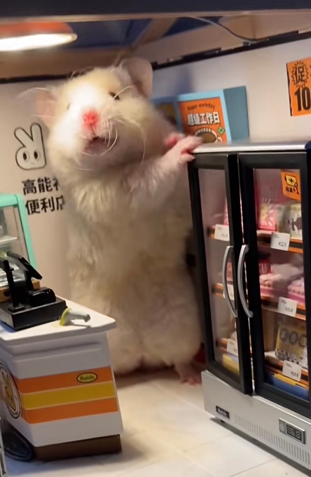 奴才：初為老闆真的很不熟練欸