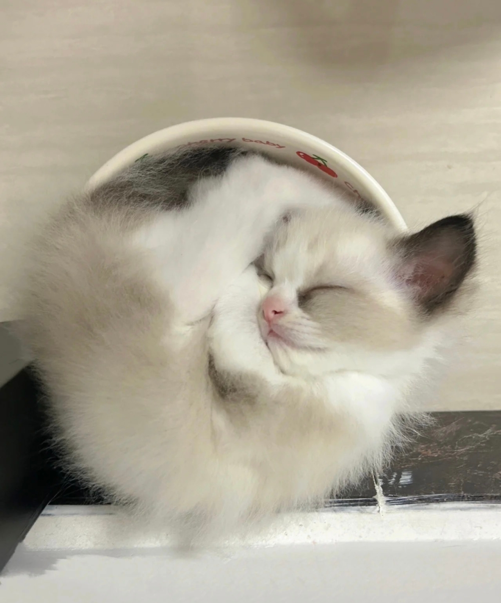 奴才：還真是什麼地方都能睡啊