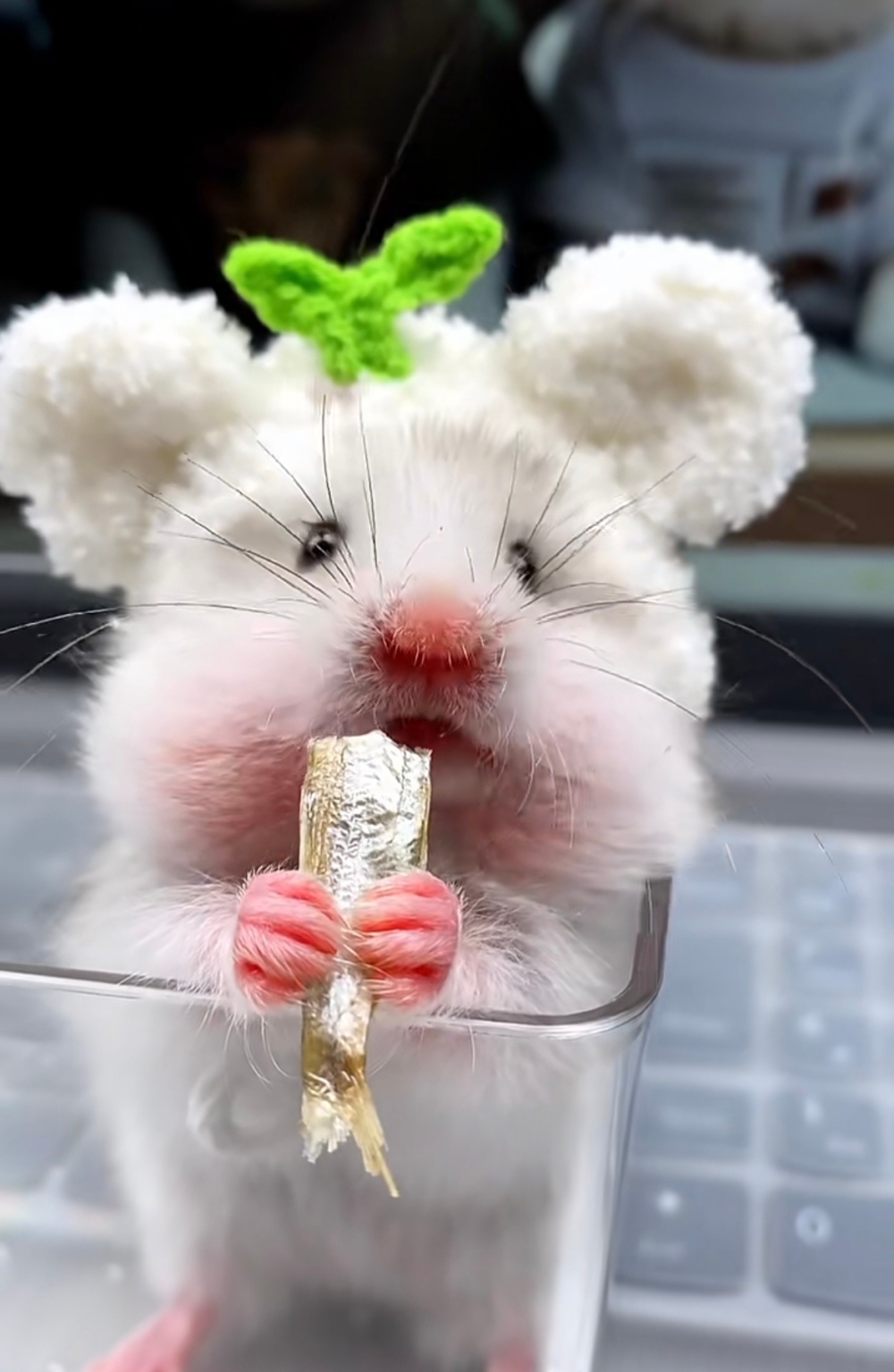 奴才：還懂得細嚼慢嚥欸