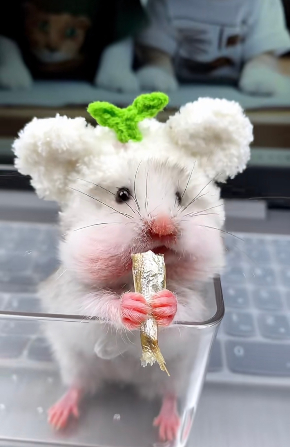 奴才：就知道你會愛吃