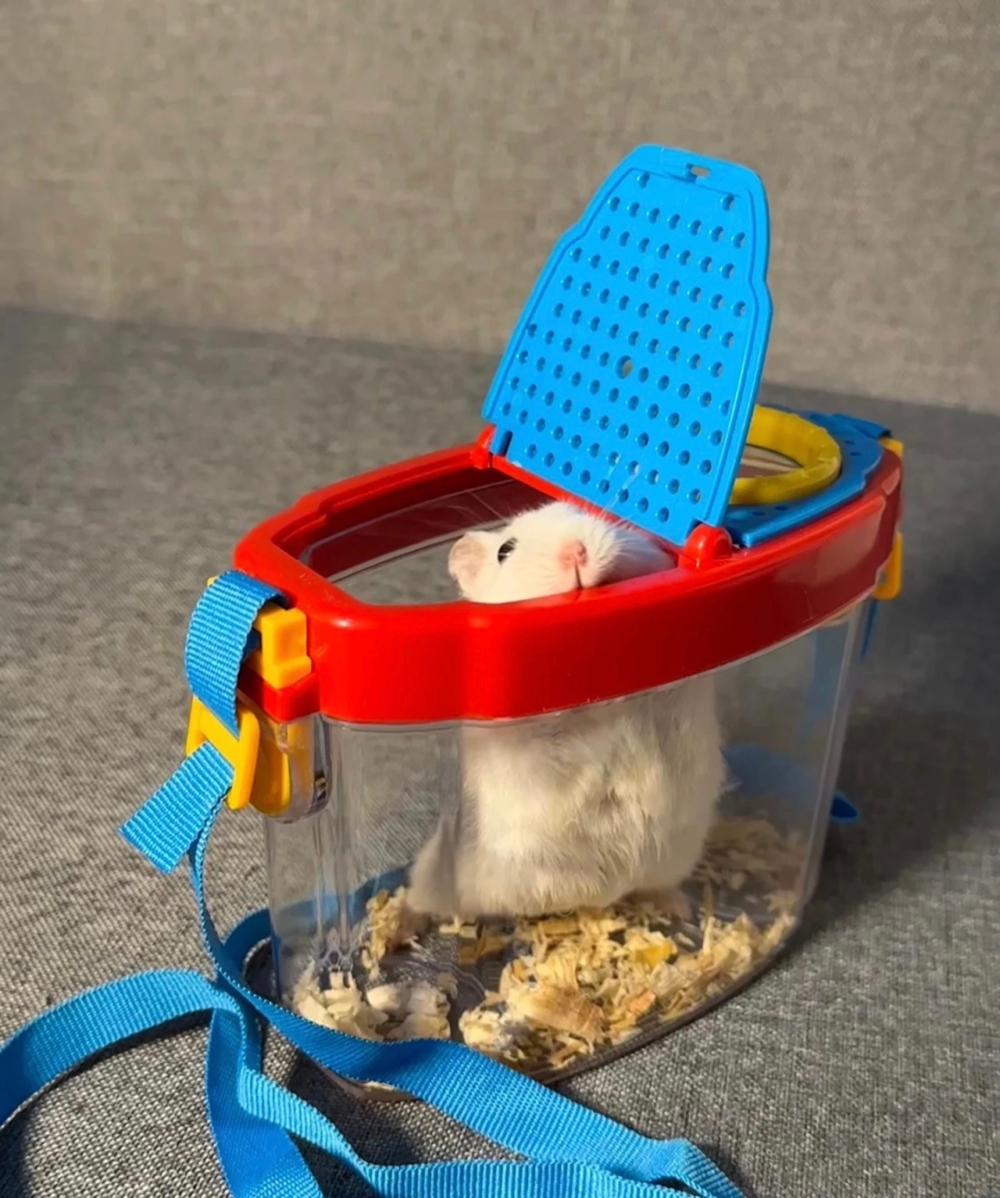 奴才：你這樣說就很有歧異啊