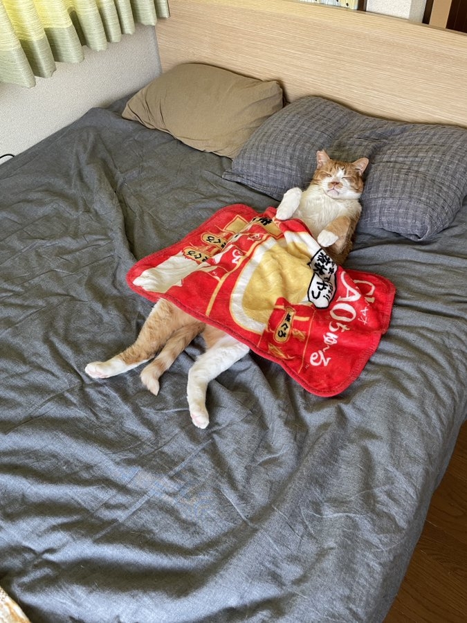 奴才：好吧～讓你睡囉