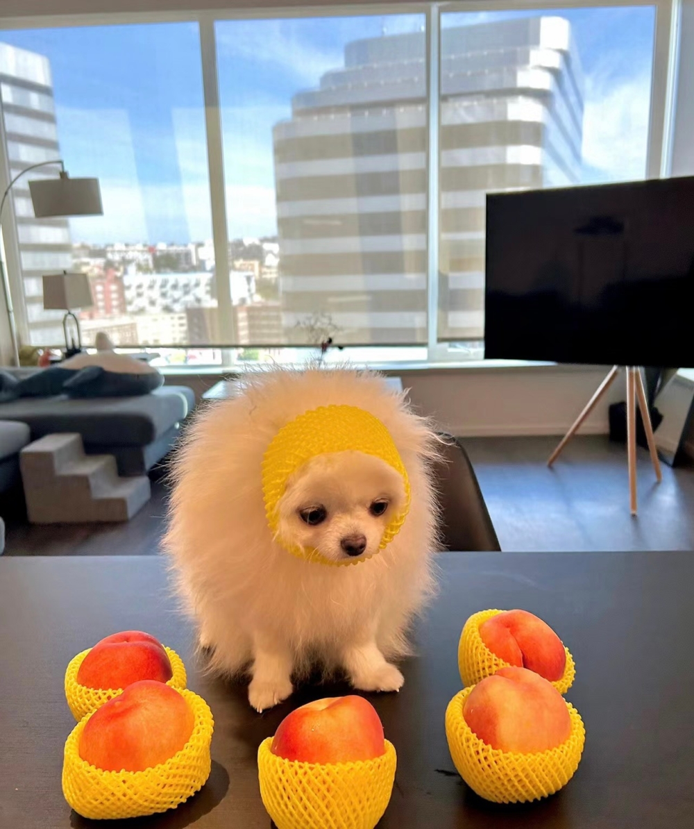 奴才：你先數好再說